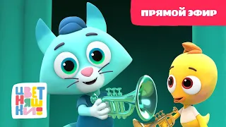 🎶💛Цветняшки - Игры Цыпленка Пи и Котенка Мур  -  Прямой Эфир - Песенки для сна💛🎶