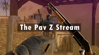 The Pav Z Stream - 2 hours of Chaos