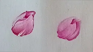 Dipingere i boccioli di rosa selvatica in modo facile e a mano libera.