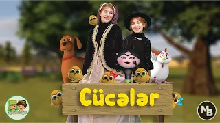 Jujelerim Azerbaijani Turkic Nursery Song/Cıp cıp cücələrim