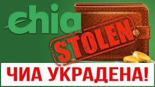 Чиа украдена! Как избежать этого?