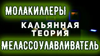 Кальянная теория. Что такое Молакиллеры и зачем они нужны ?