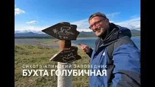 Сихотэ-Алинский заповедник. Экологический маршрут "Бухта Голубичная"