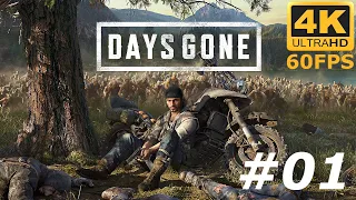 Zagrajmy w Days Gone odc: 1 - Świat Po Pandemii Wirusa