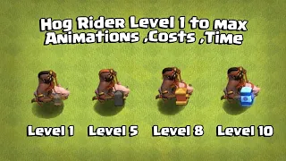 Hog Rider Level 1 to MAX All Animation | Cost | Time | Clash Of Clans