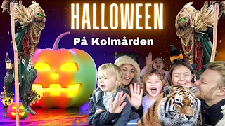 3prinsessor - HALLOWEEN på Kolmården 2022🎃👻🦁🐬 VLOGG