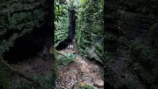 Geositio EL CHURO. 6 de agosto de 2023 #amazonia #naturaleza #mundoperdido #nature #cavernas #árbol