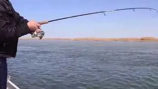 Fishing. Рыбалка у Эвальда. Апрель 2013