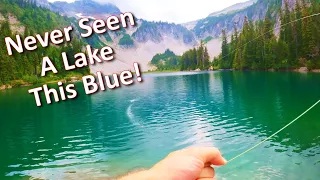 Alpine Lake Fly Fishing for Trout at the Most Beautiful Lake!