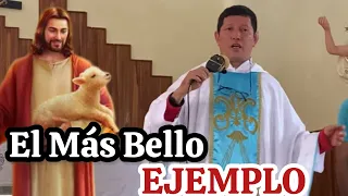 Evangelio de Hoy Domingo 21 de Abril del 2024 ¡”Yo Soy El Buen Pastor”! Con el Padre Luis Toro/63-24