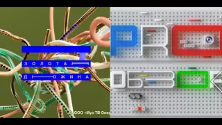 Заставки программ "Золотая Дюжина" и "PRO ОБЗОР" (Муз ТВ, 08.06.2020)