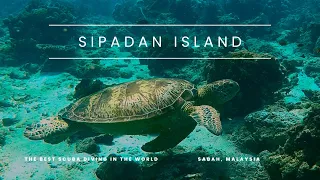 Sipadan Island-The BEST Scuba Diving in the World- Sabah Malaysia -Terbaik Malaysia