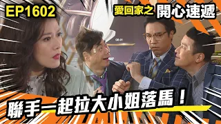 愛．回家之開心速遞 第1602集 | 聯手一起拉大小姐落馬！