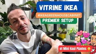 #14-Vitrine IKEA [ Fabrikör ] Installation et premières Plantes @IKEA #ikeagreenhousecabinet