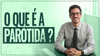 PARÓTIDA - O que é? O que faz? Onde fica?