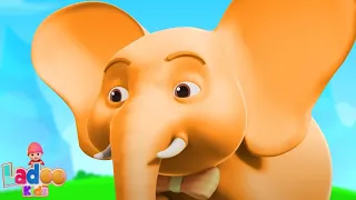 Ek Mota Hathi Sheher Ko Chala, चिड़िया रानी + More Hindi Rhymes for Children and Songs