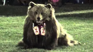 Laura Grizzlypaws BEAR DANCE @ Umatilla PW 2015