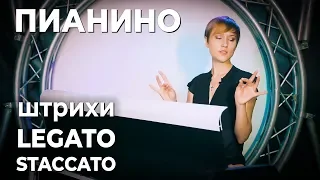 Пианино для начинающих: штрихи legato, staccato, упражнения из сборника Эдны-Мае Барнем