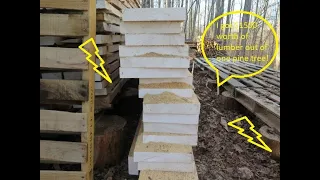 Eps.#36 I Milled $1500 Worth of Lumber out of this 1 Pine Tree! Paid for half my mill with 1 tree!