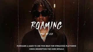 [FREE FOR PROFIT]REMA x OMAH LAY x WIZKID TYPE BEAT - ROAMING ||AFROBEAT TYPE BEAT 2023 || AFROBEAT