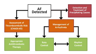 Afib: Prevention of Stroke in AFib and Atrial Flutter