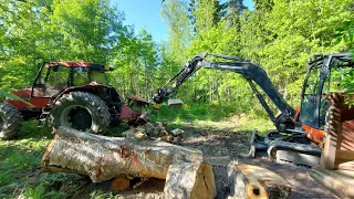 Polttopuiden tekoa iskän kanssa