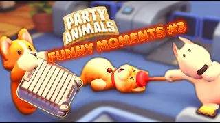 PARTY ANIMALS [FUNNY MOMENTS] (COMPILATION) #3