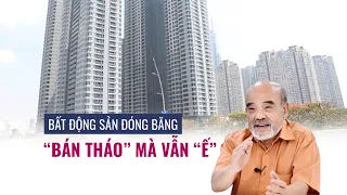 GS Đặng Hùng Võ: Bất động sản đóng băng, doanh nghiệp đừng trông chờ "giải cứu" | VTC Tin mới