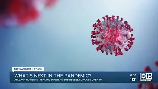 What's next in COVID-19 pandemic?