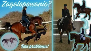 GALOP krok po kroku. 🚀 JAK ZAGALOPOWAĆ❓ #jazdakonna