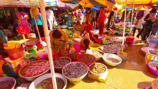 Cambodian Countryside Street Food @ Kampot Market - Khmer Food Tour, Seafood, Squid, Shrimp & More