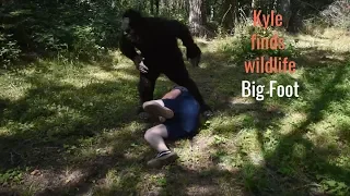 Kyle finds wildlife (bigfoot)