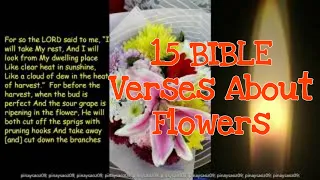 15 BIBLE Verses About Flowers