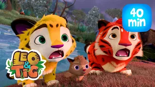 Leo & Tig - El ciervo rojo y más episodios completos de Leo y Tig | Caricatura animada 🐯🦁