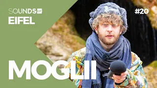 Beats aus dem Wald | Moglii: Über Klimaschutz & Alltagsflucht | Sounds of „Eifel"