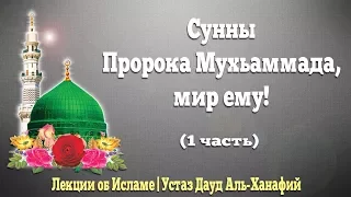 Сунны Пророка Мухьаммада, мир ему! | Устаз Дауд Аль-Ханафий