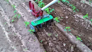 Easy Make  Inter cultivator for vegetable and weed control