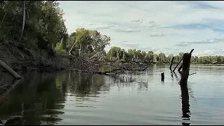 ПОД ЭТОЙ ДРОВИНОЙ ЖИВУТ ОДНИ МОНСТРЫ!!!!Трофейная рыбалка !!!Ловля щуки!