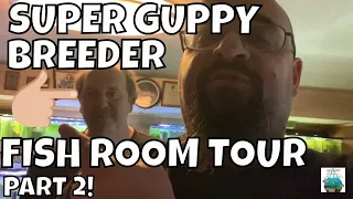 SUPER GUPPY FISH BREEDER FISH ROOM TOUR Part 2