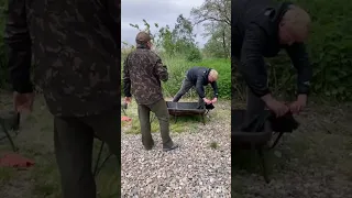 Carpfishing. Золотой берег 12 сектор карп 12 кг. Лечим и отпускаем!!!