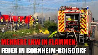 Feuer im Gewerbegebiet: Mehrere LKW in Vollbrand in Bornheim-Roisdorf | 13.07.2022