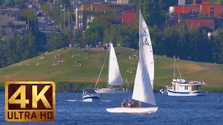 3 Hours - 4K Urban Relaxation Video | Nature Sounds - Seattle Lake Union Park