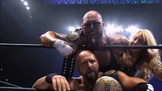 Karl Anderson Custom Theme