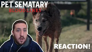 First Time Watching Pet Sematary Bloodlines (2023) - The Ground...Is Sour!