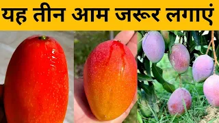 Best Mango Variety in India||Best Mango Variety in India||