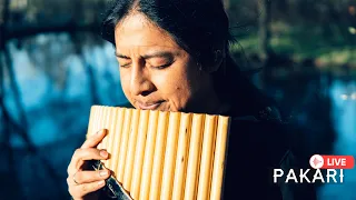 Pakari - A Good Moment With Flute Music