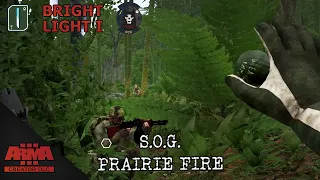 S.O.G. Prairie Fire Arma 3 | RT Black Wolf | "Bright Light I"
