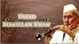 THE SOUND OF MUSIC -THE SHEHNAI  OF BISMILLAH KHAN CLASS 9 ENGLISH FULL EXPLANATION, CBSE ANIMATED