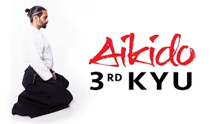 Aikido Techniques for Beginners - 3rd Kyu Test Requirements