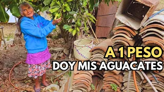 "Cargo mi agua y mi soplador porque pienso que ahí voy a quedar 😔"|Tía Tomasa